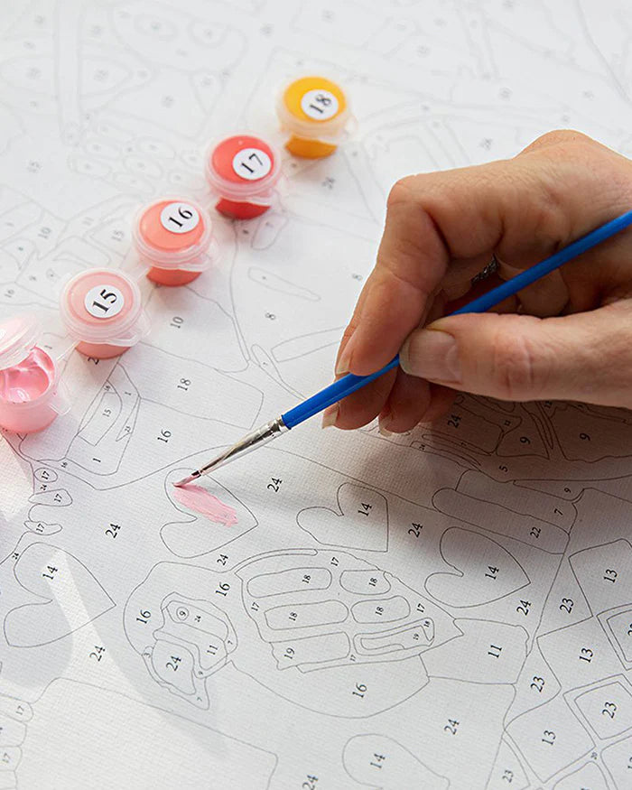 JOS Paint by Numbers LAKE WINDERMERE