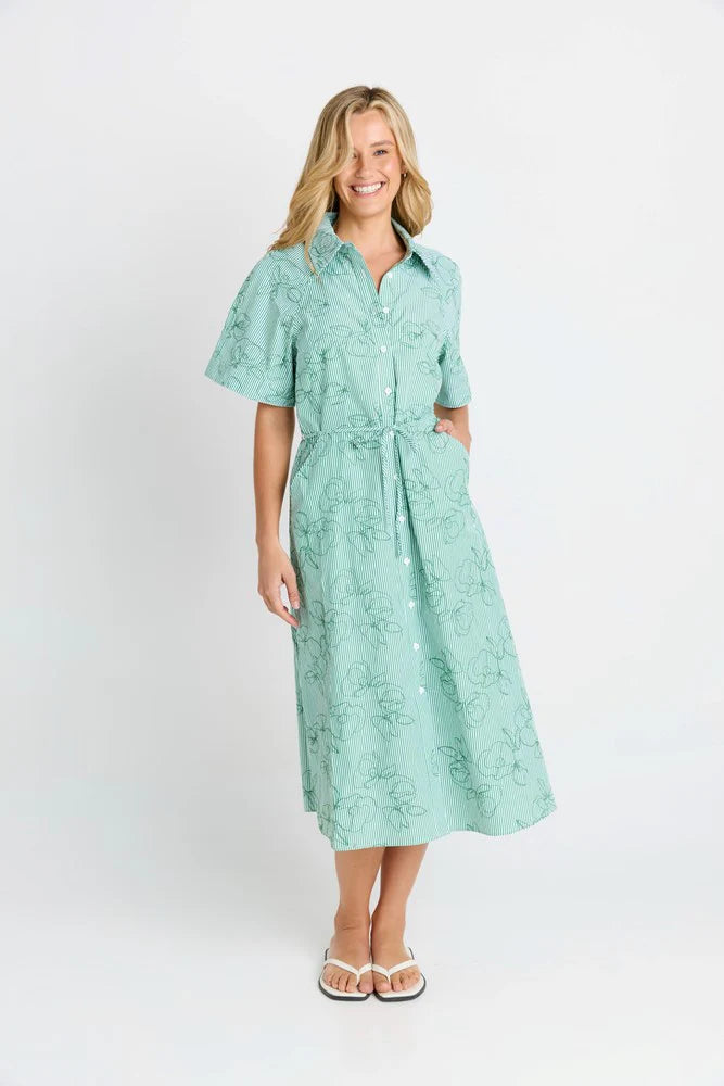 BETTY BASICS Shelley Shirt Dress GREEN STRIPE