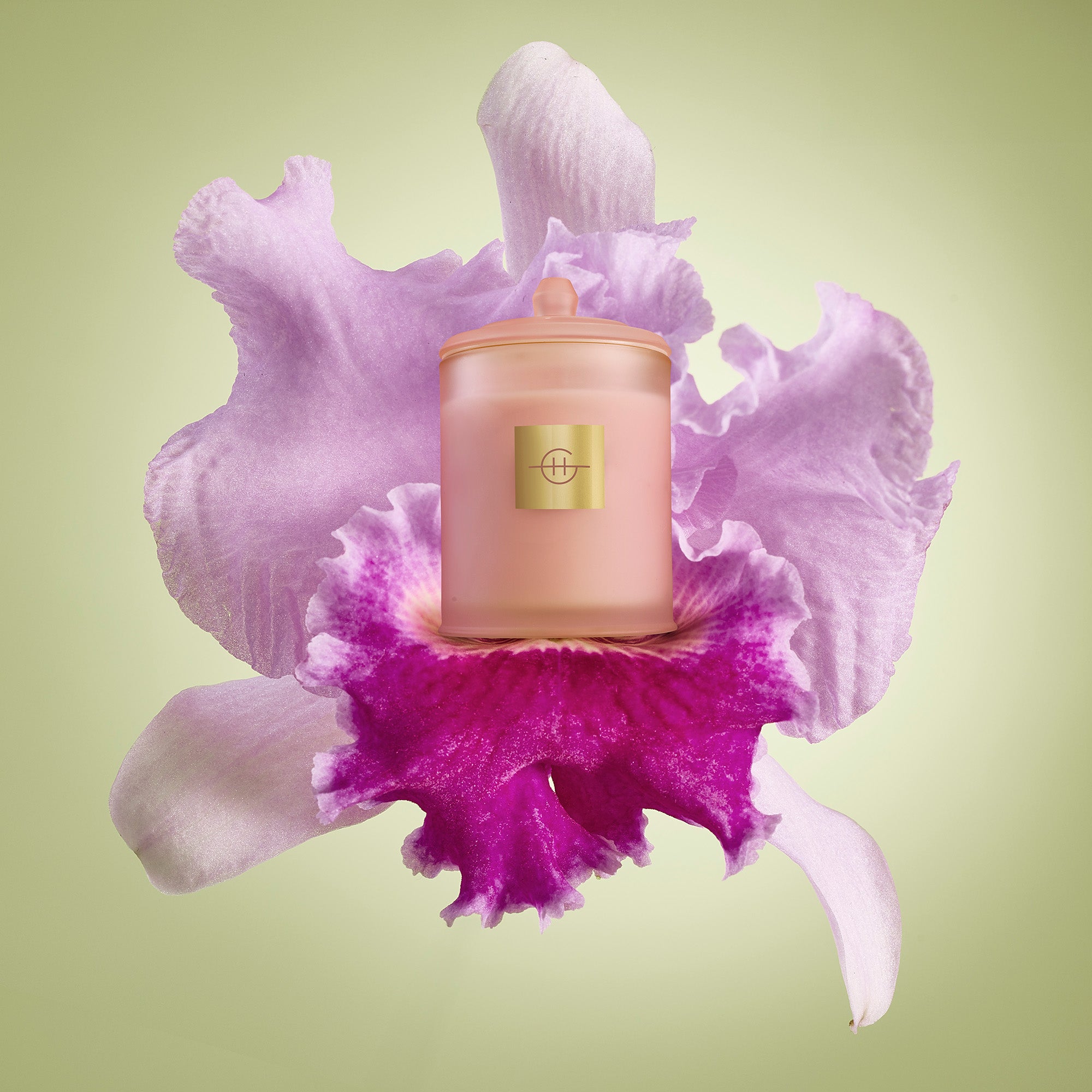 GLASSHOUSE 380g Candle RADIANCE IN BLOOM