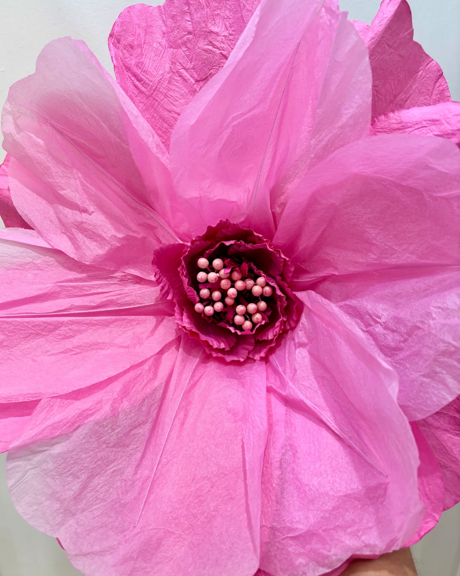 MOONLIGHT Paper Flower SOFT PINK