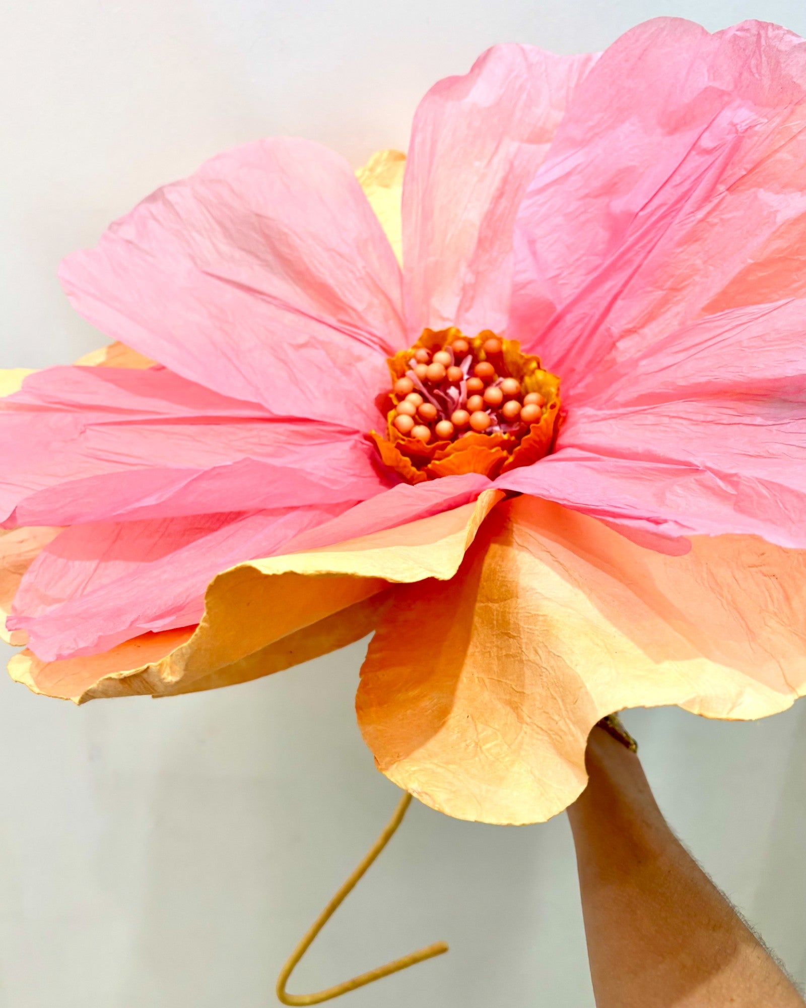 MOONLIGHT Paper Flower APRICOT