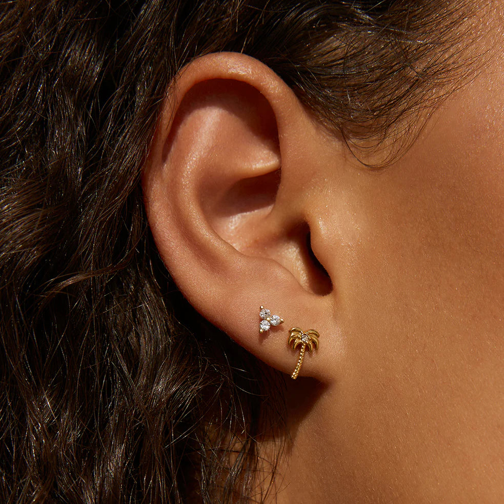 Arms of Eve Cassia Stud CLEAR