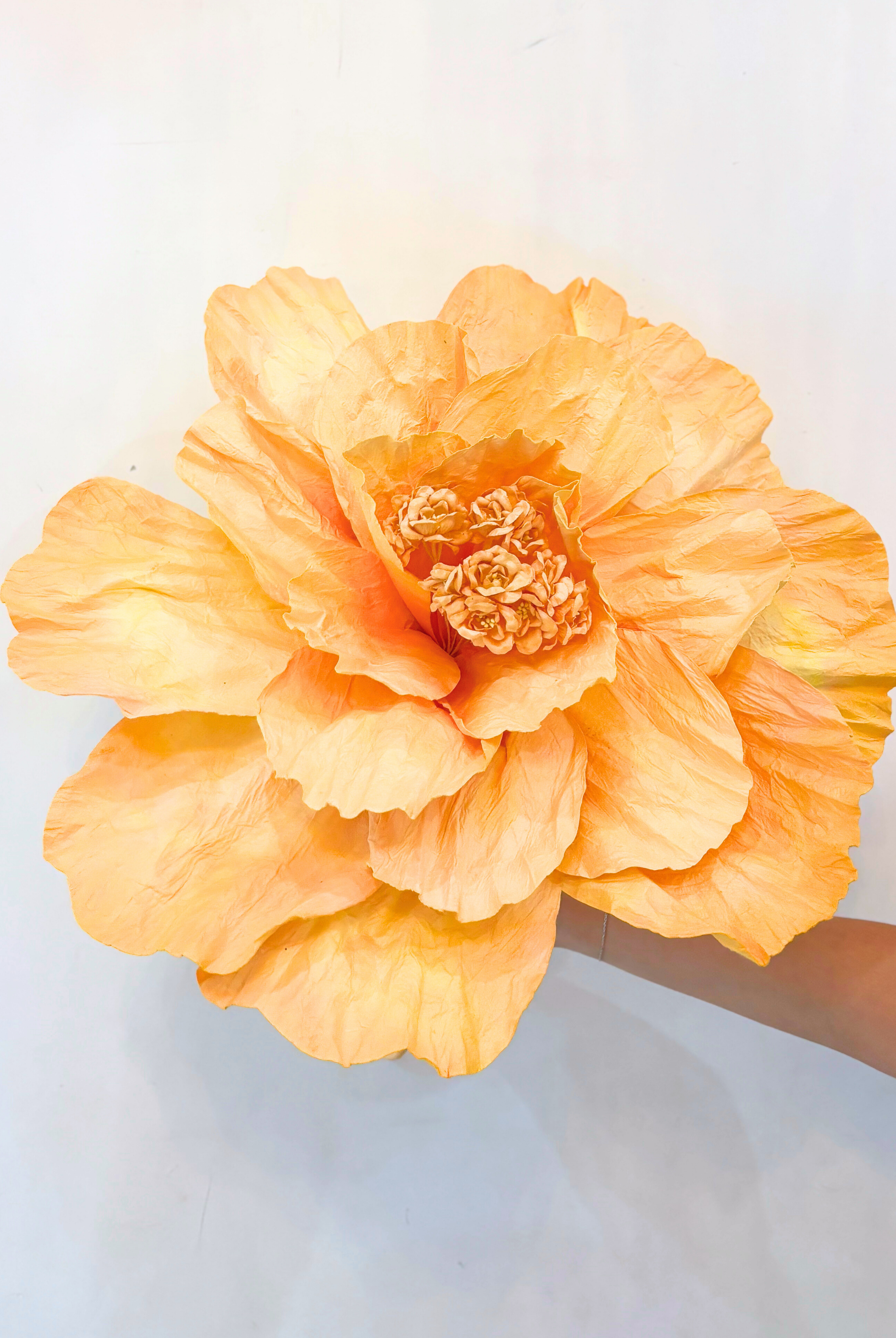 PRIMROSE Paper Flower Large APRICOT