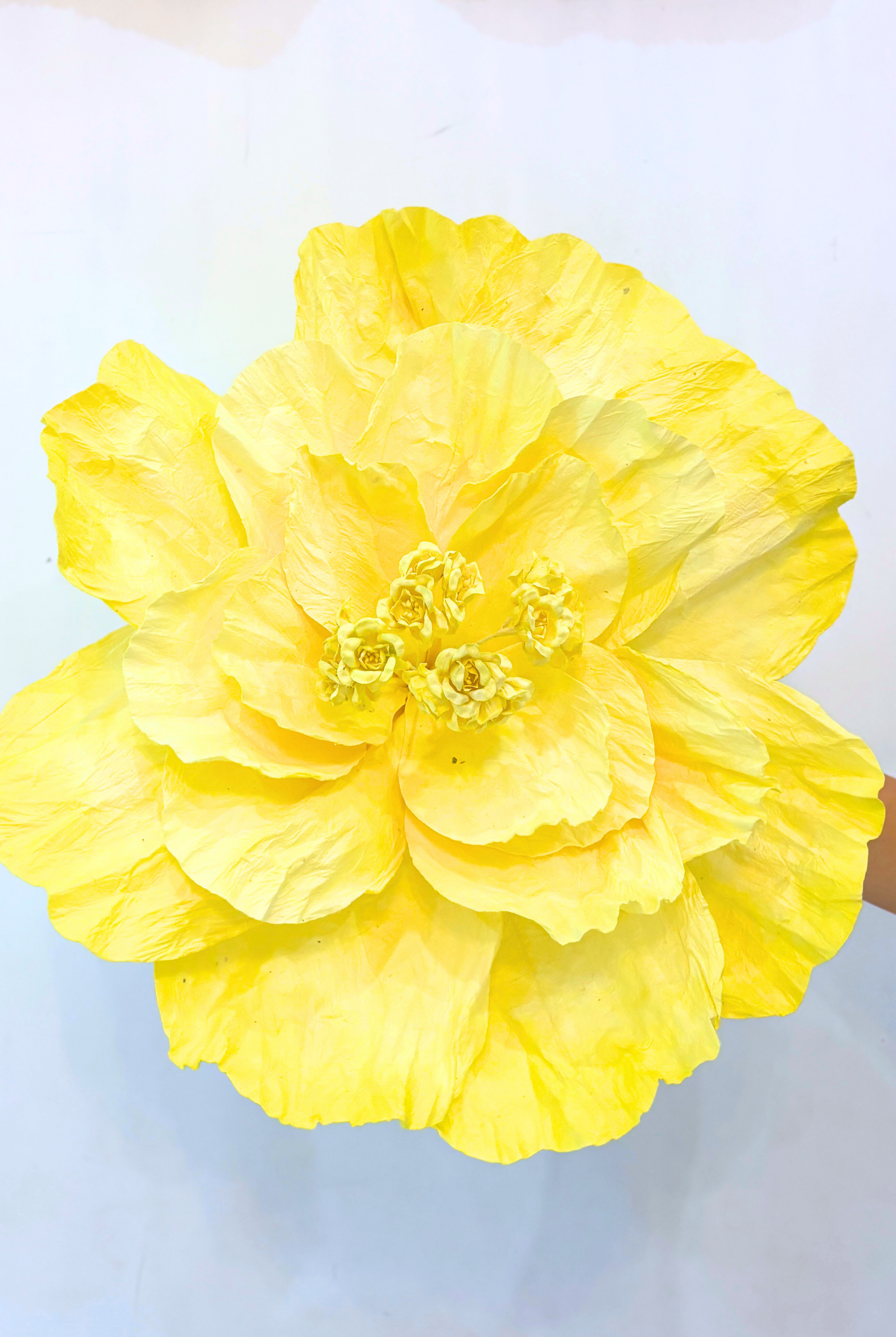 PRIMROSE Paper Flower Large YELLOW