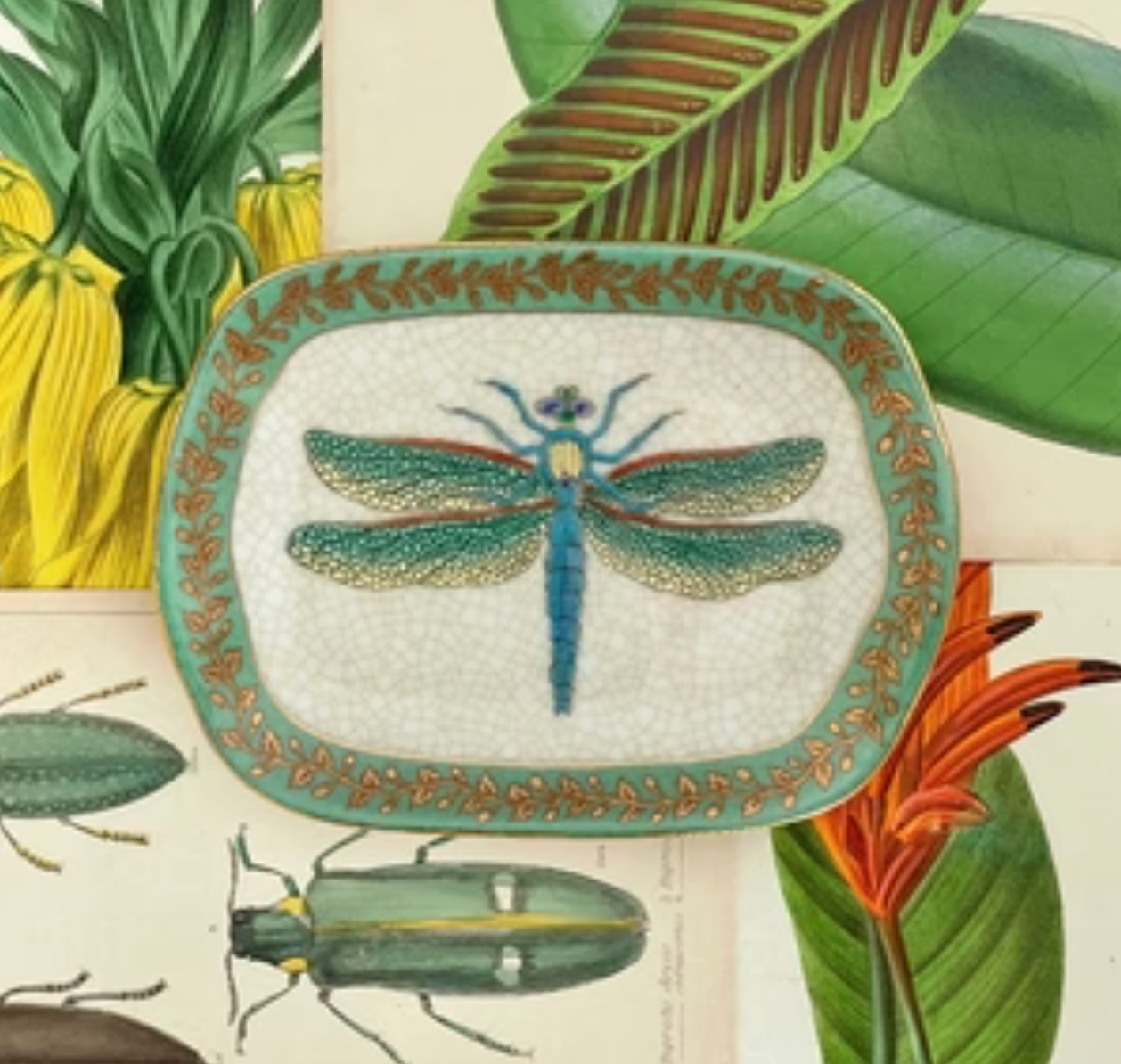 CAM Exotico Savon Dish GREEN DRAGONFLY