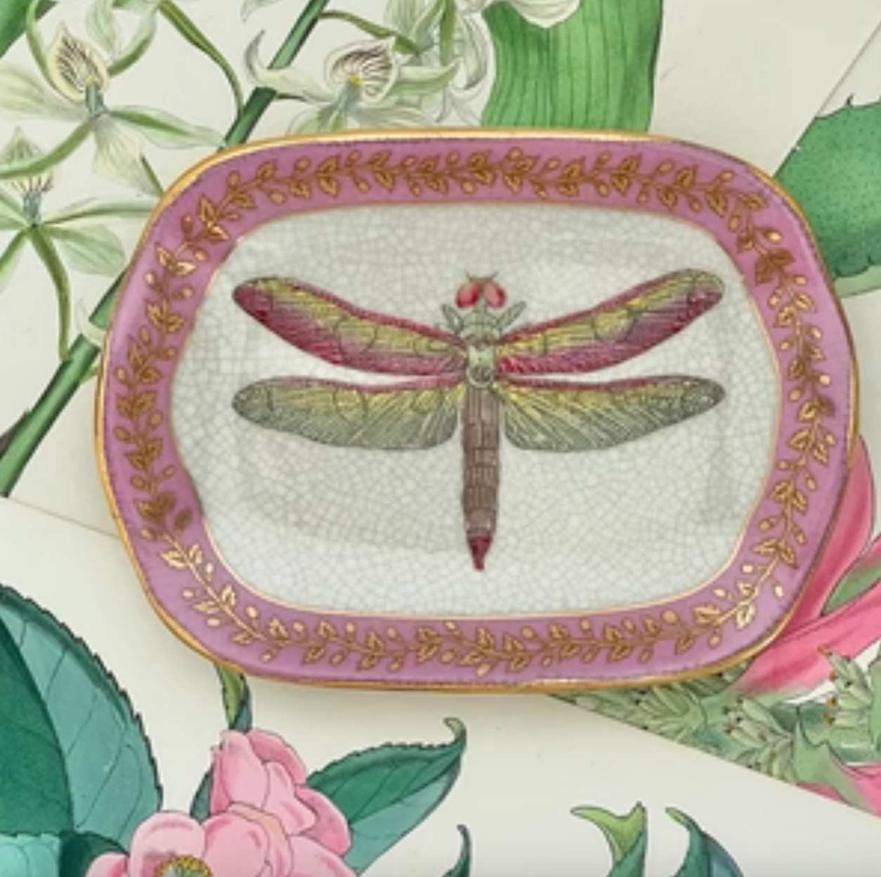 CAM Exotico Savon Dish PINK DRAGONFLY