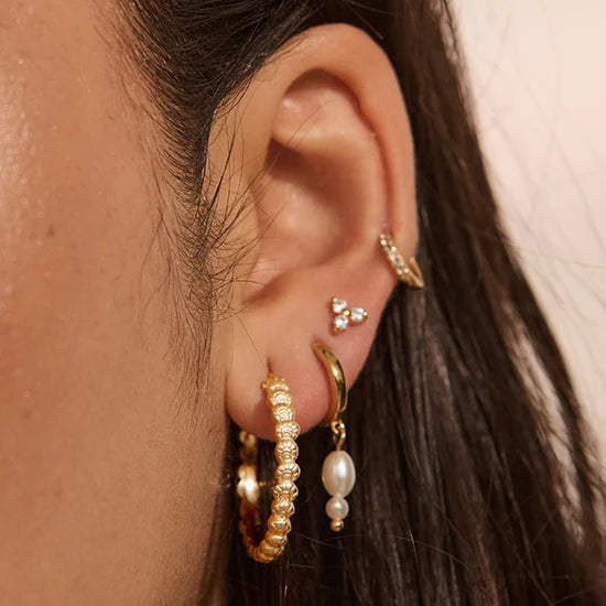 MURKANI Soul Protector Medium Shell Hoops GOLD