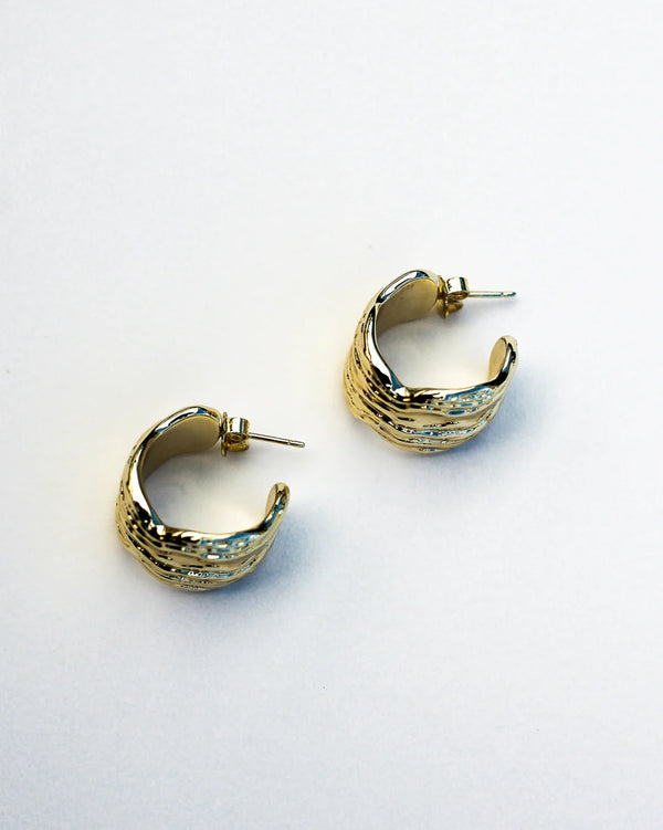 F+H Oyster Shell Hoops 20mm Large GOLD