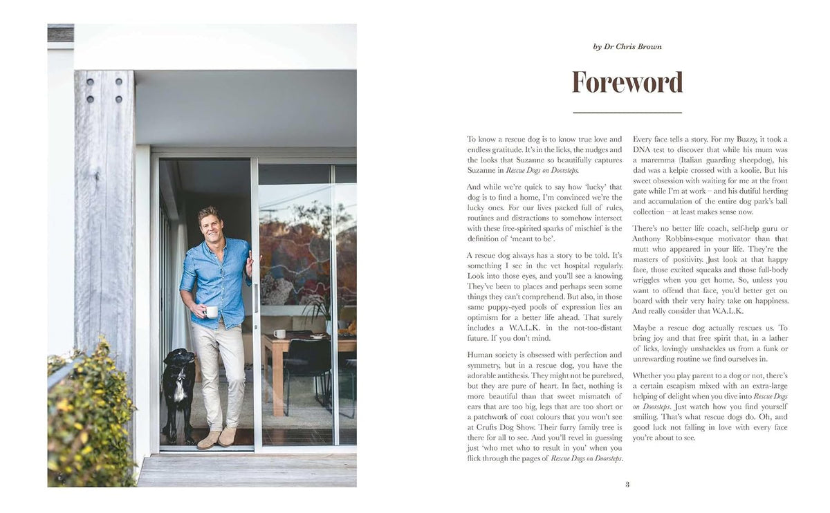 Rescue Dogs on Doorsteps