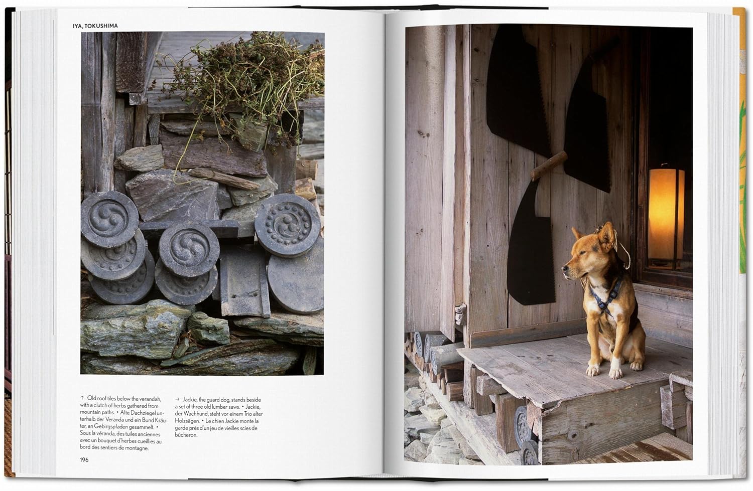 Living In Japan 45th Ed