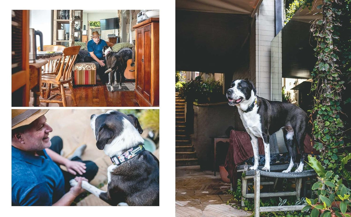 Rescue Dogs on Doorsteps