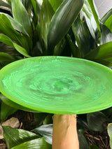 NASHI Everyday Large Platter PERIDOT