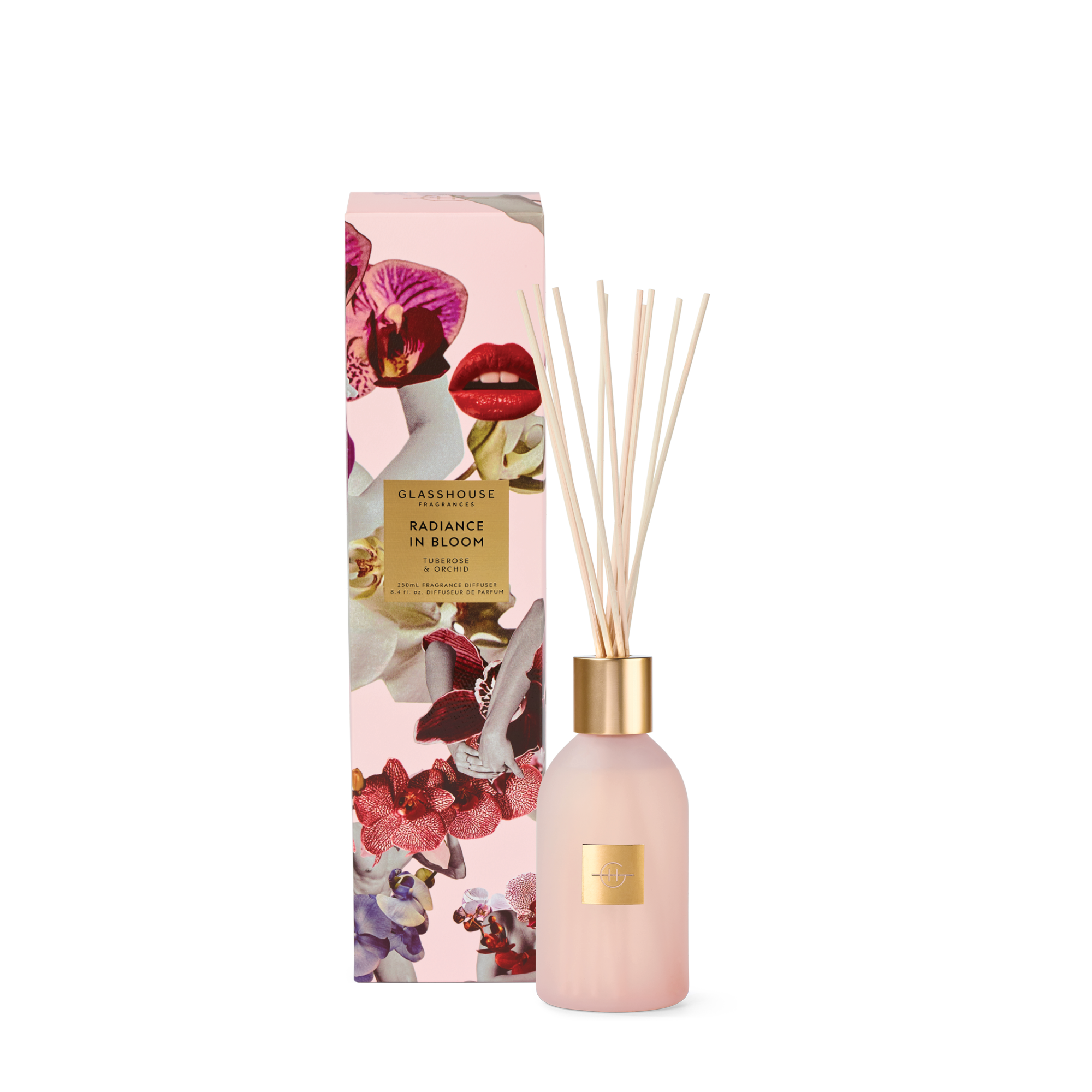 GLASSHOUSE 250m Diffuser RADIANCE IN BLOOM