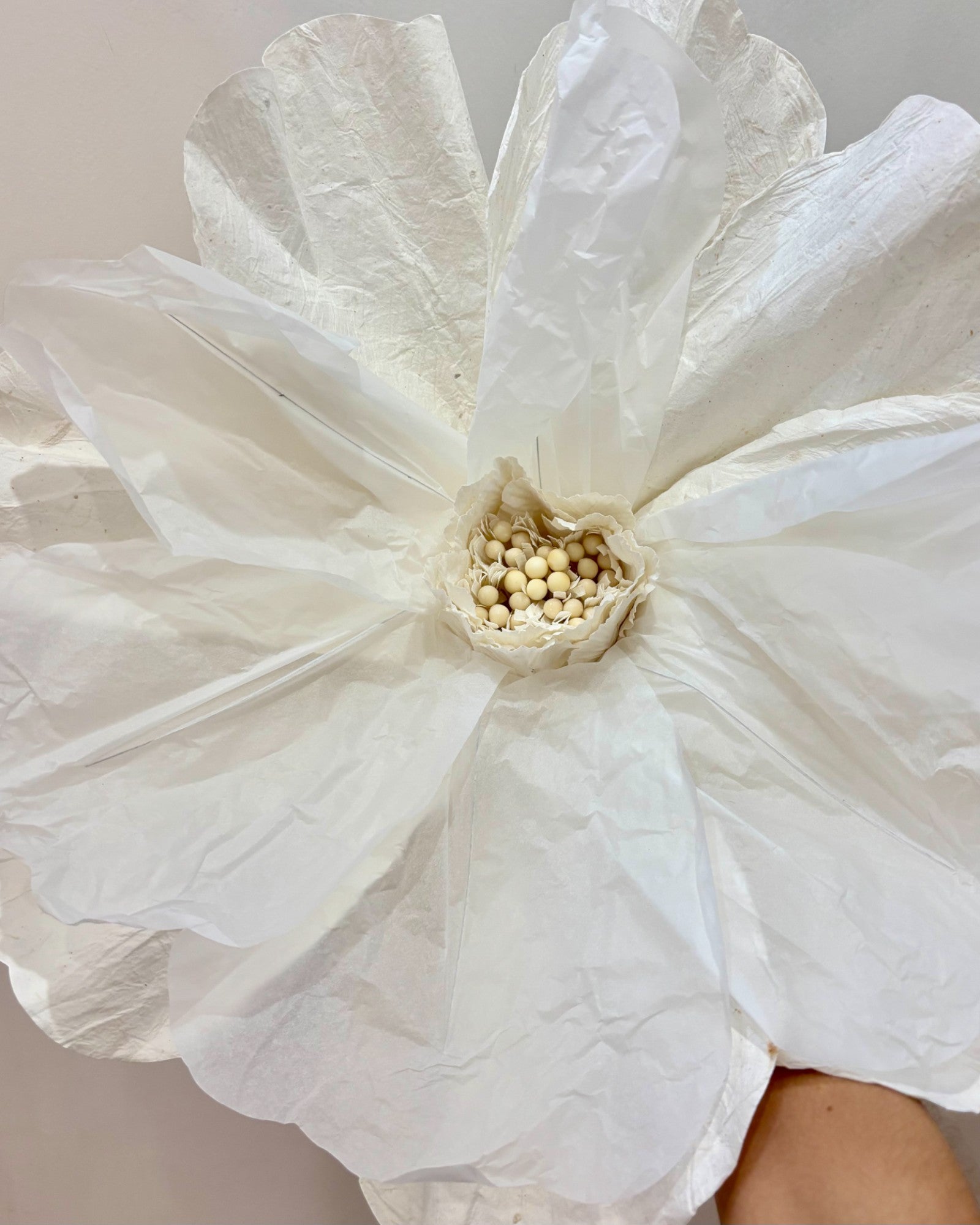 MOONLIGHT Paper Flower WHITE