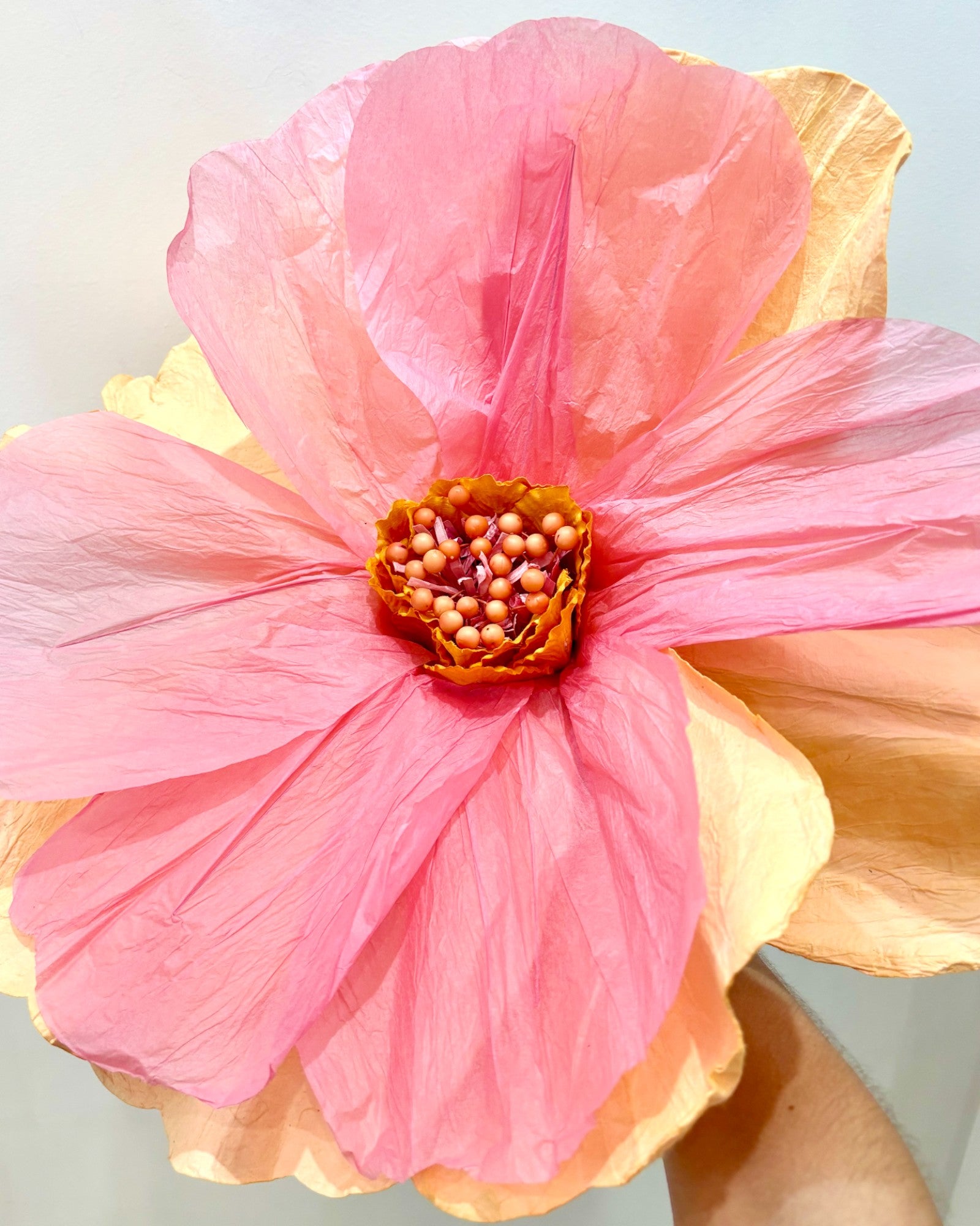 MOONLIGHT Paper Flower APRICOT