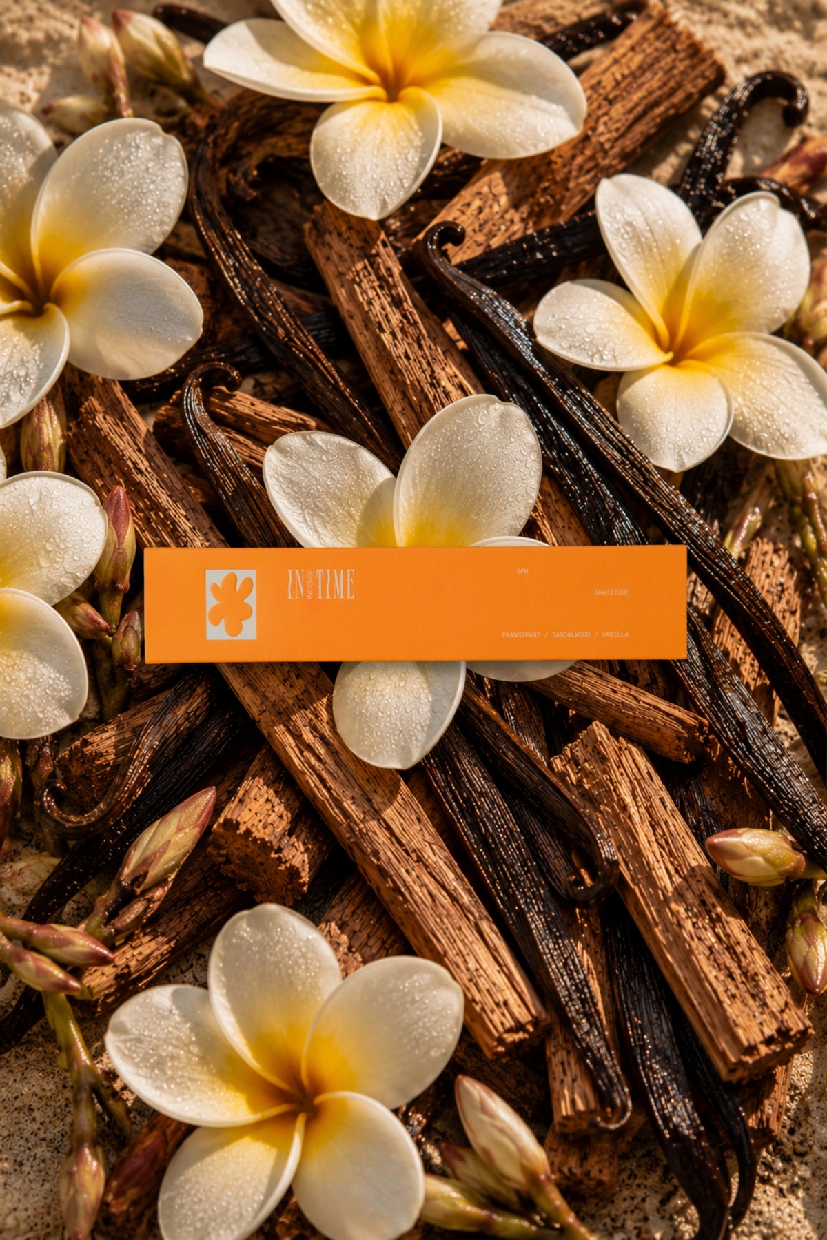 IN TIME 6pm Gratitude Incense