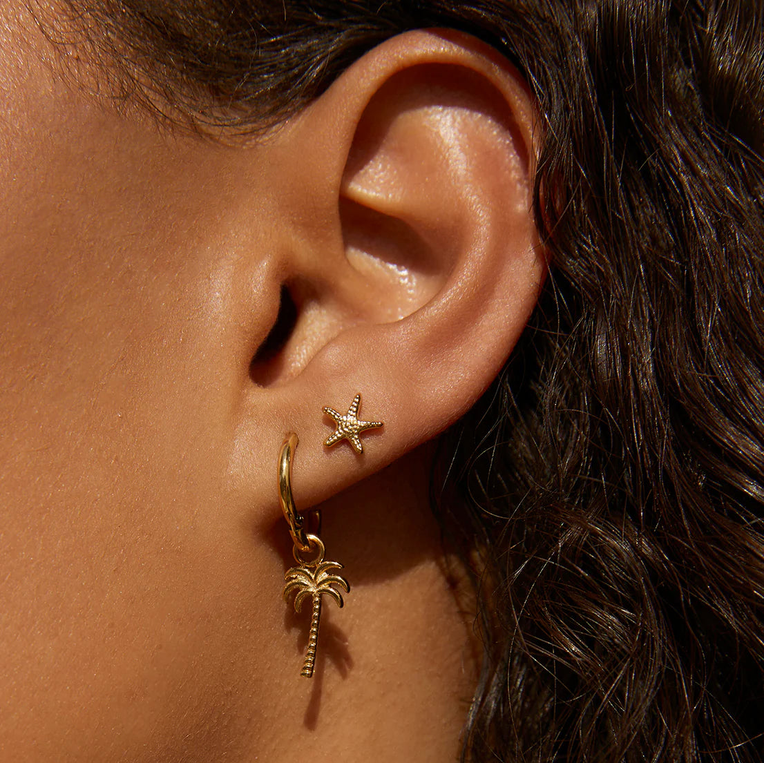Arms of Eve Starfish Studs GOLD