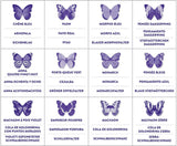 Memory Match BUTTERFLIES