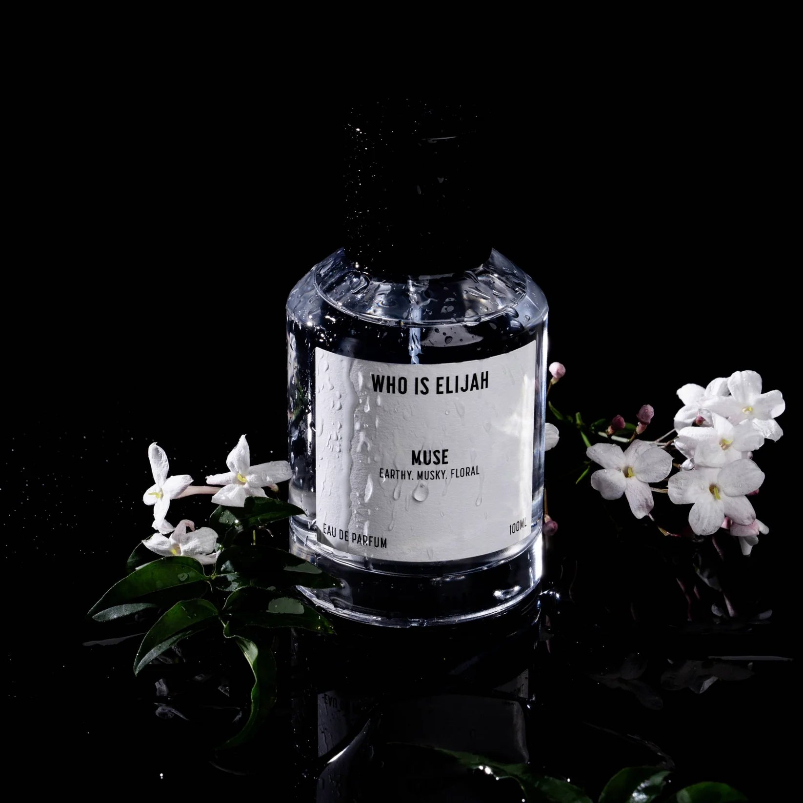 WHO IS ELIJAH Muse 50ML