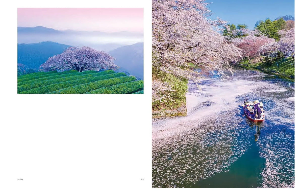 Japan: The Voyage Collection