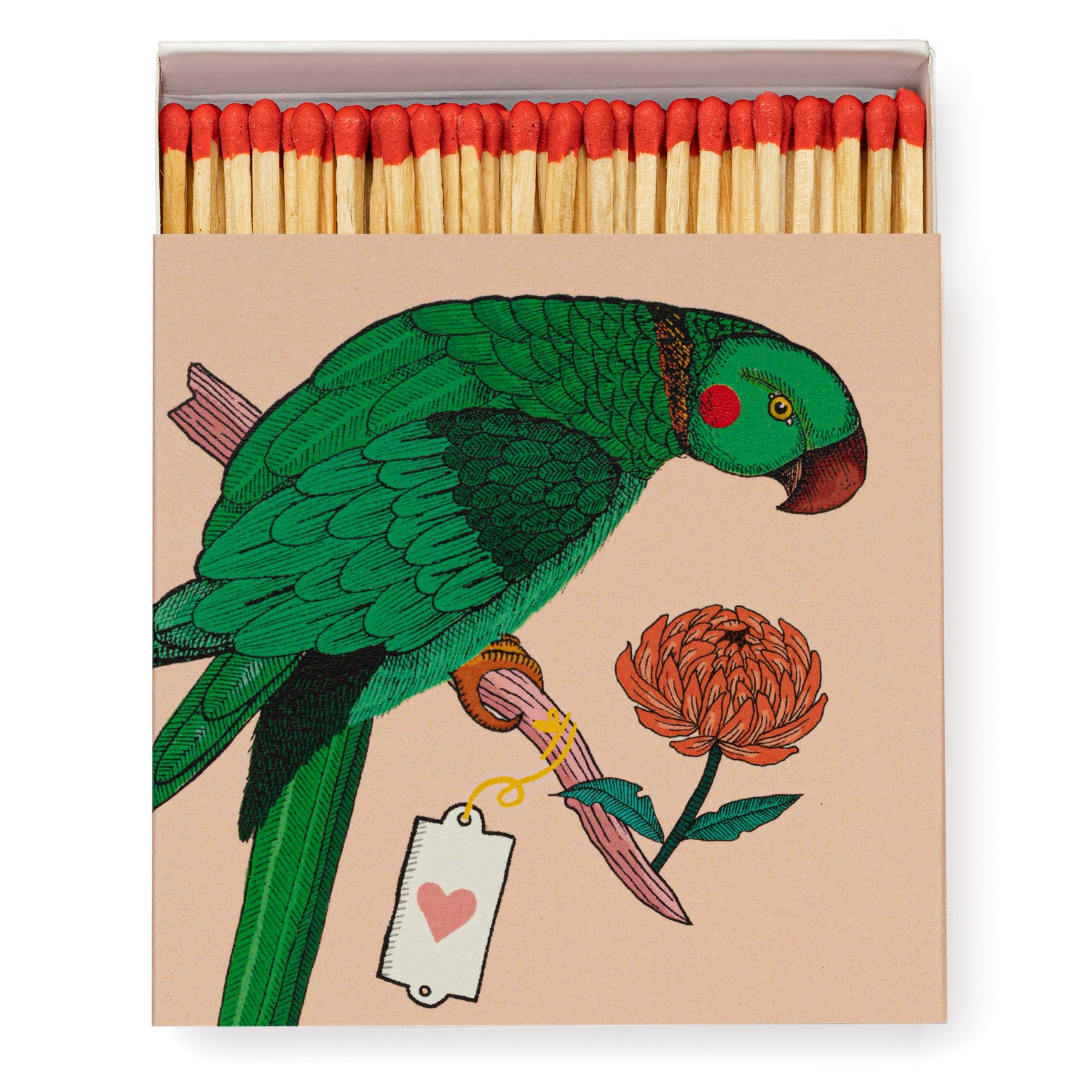 ARCHIVIST Square Box Matches PARROT